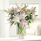 Ooh-La-La Lilies from your Sebring, Florida florist