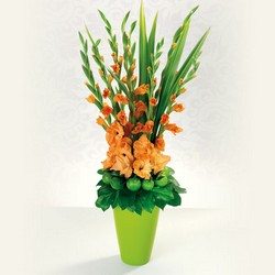 Glorious Gladiolus from your Sebring, Florida florist