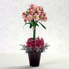 Timeless Topiary from your Sebring, Florida florist