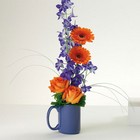 Day Greeter from your Sebring, Florida florist