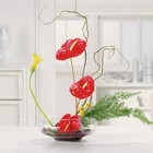 Asian Inspiration from your Sebring, Florida florist
