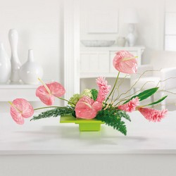 Aloha Lovely from your Sebring, Florida florist