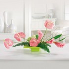 Aloha Lovely from your Sebring, Florida florist