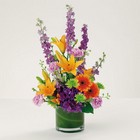 The Best Medicine from your Sebring, Florida florist