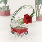 Contempo Rose from your Sebring, Florida florist