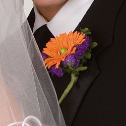 Gerbera Boutonniere from your Sebring, Florida florist