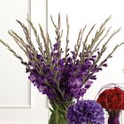 Gladiolus Arrangement from your Sebring, Florida florist
