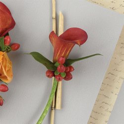 Russet Miniature Calla Lily Boutonniere from your Sebring, Florida florist
