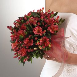 Alstroemeria Bridal Bouquet from your Sebring, Florida florist