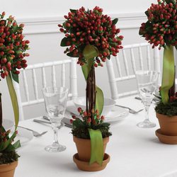 Hypericum Topiary Reception Arrangement from your Sebring, Florida florist
