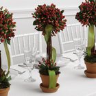 Hypericum Topiary Reception Arrangement from your Sebring, Florida florist