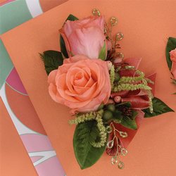 Peach Rose Corsage from your Sebring, Florida florist