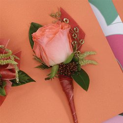 Peach Rose Boutonniere from your Sebring, Florida florist