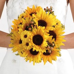 Sunny Sunflowers Bridal Bouquet from your Sebring, Florida florist