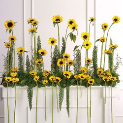 Sunflower Altar Arrangement from your Sebring, Florida florist