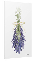 Stems of Lavender Canvas from your Sebring, Florida florist