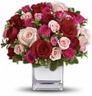 Love Medley  from your Sebring, Florida florist