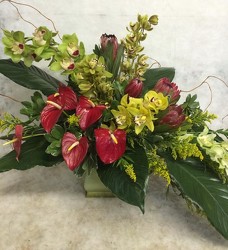 Elegant Anthuriums and Orchids from your Sebring, Florida florist