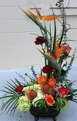 Tropical Estate from your Sebring, Florida florist