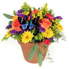 Sunrise  from your Sebring, Florida florist