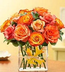 Modern Roses Dozen Orange from your Sebring, Florida florist