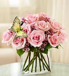 Modern Roses Dozen Pink from your Sebring, Florida florist