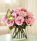 Modern Roses Dozen Pink from your Sebring, Florida florist