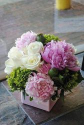 Peonies Squared from your Sebring, Florida florist