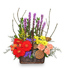 Out Of The Woods from your Sebring, Florida florist