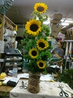 Sunflower Funflowers from your Sebring, Florida florist