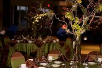 Orchids in Glass from your Sebring, Florida florist