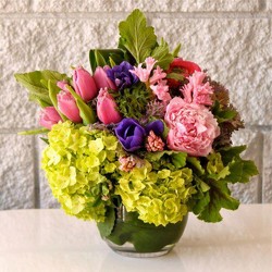 Peony and Tulip Bowl from your Sebring, Florida florist