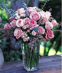 Pink To White Dozen from your Sebring, Florida florist