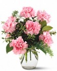 Pink Notion from your Sebring, Florida florist