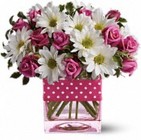 Polka Dots & Posies from your Sebring, Florida florist