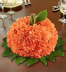 Pumpkin Of Carnations from your Sebring, Florida florist