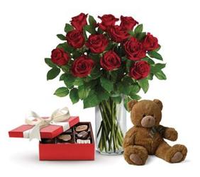 Roses and Chocolates and a Bear from your Sebring, Florida florist