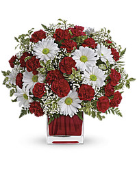 Red White and You from your Sebring, Florida florist
