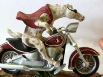 Seminoles Horse On Motorcycle from your Sebring, Florida florist