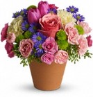 Spring Sonata from your Sebring, Florida florist