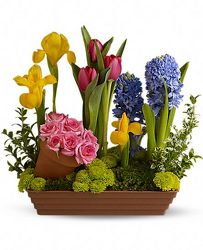 Spring Favorites from your Sebring, Florida florist