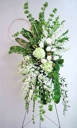 Simplicity in White from your Sebring, Florida florist