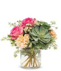 Succulent Arrangement from your Sebring, Florida florist
