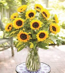 Savvy Sunflowers from your Sebring, Florida florist