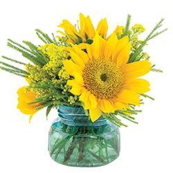 Sunflower Posy from your Sebring, Florida florist