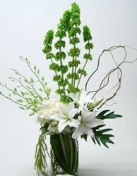 Serene in White from your Sebring, Florida florist
