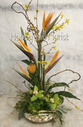 Tropical Dazzle from your Sebring, Florida florist