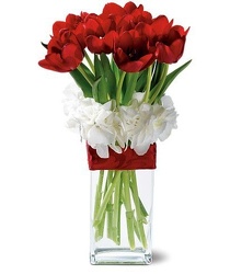 Tulips and Hydrangeas in Glass from your Sebring, Florida florist