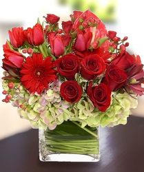 Sumptuous from your Sebring, Florida florist