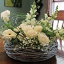 White Simplicity from your Sebring, Florida florist